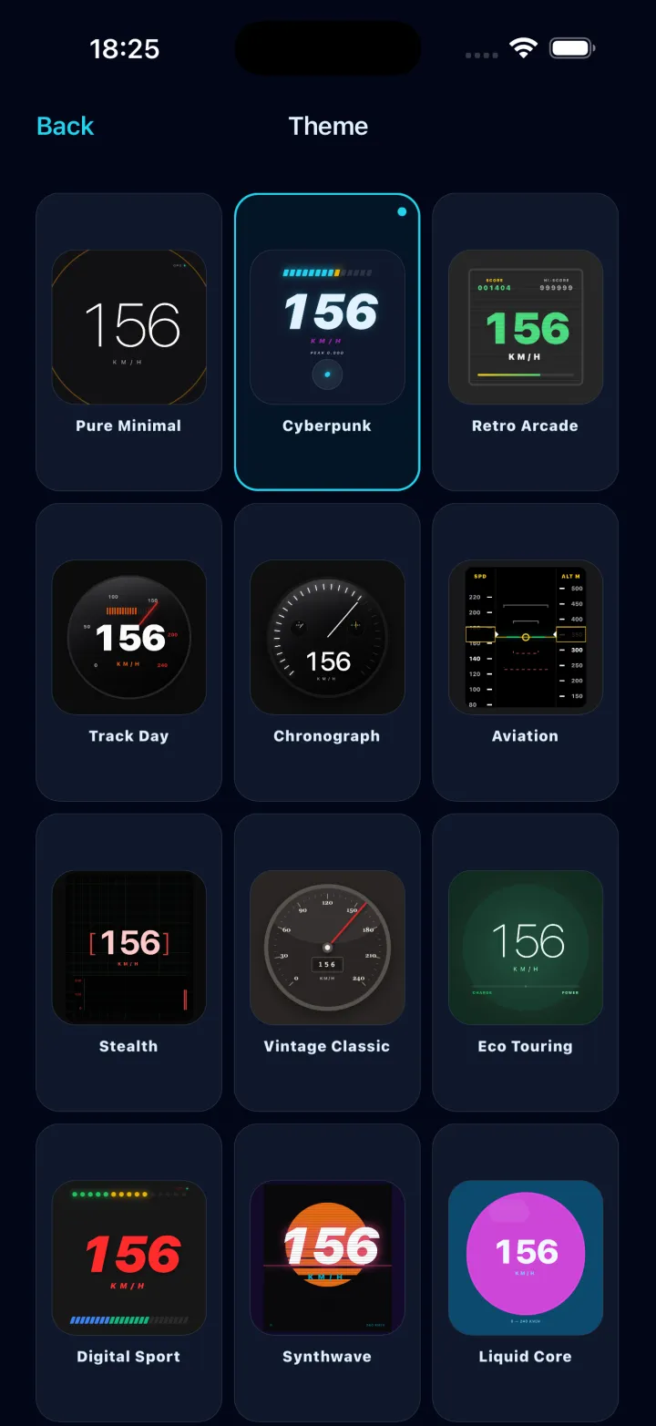 Theme picker showing 12 speedometer themes including Cyberpunk, Aviation and Synthwave
